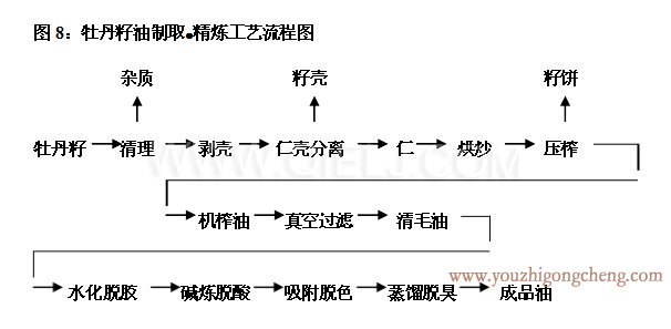 牡丹籽油设备 牡丹籽油榨油精炼生产线(图4)